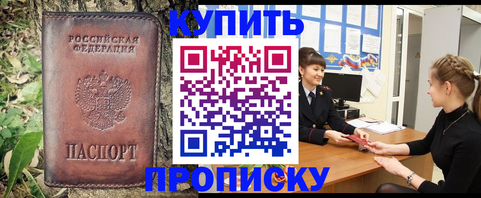 прописка в Курске
